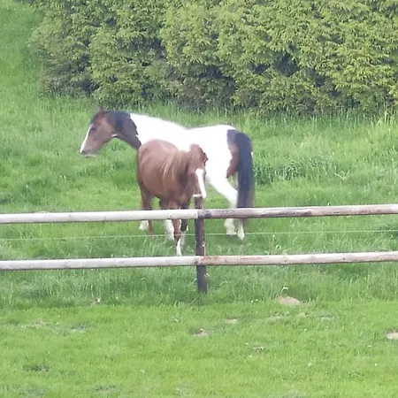 公寓 Chateau D Hugleville-en-Caux