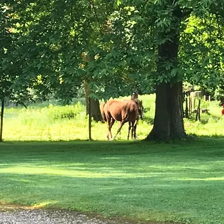 Chateau D Appartement *