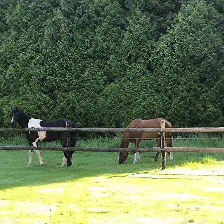 Chateau D Appartement *